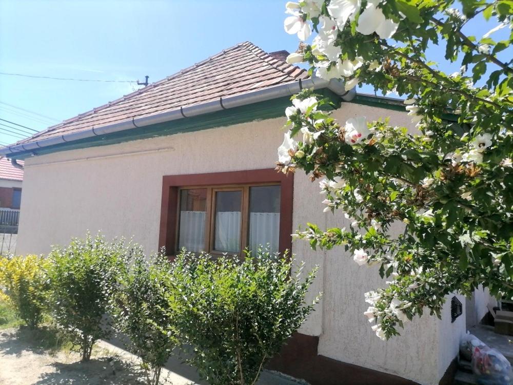Lankas Vendeghaz - Holloko Villa Exterior foto